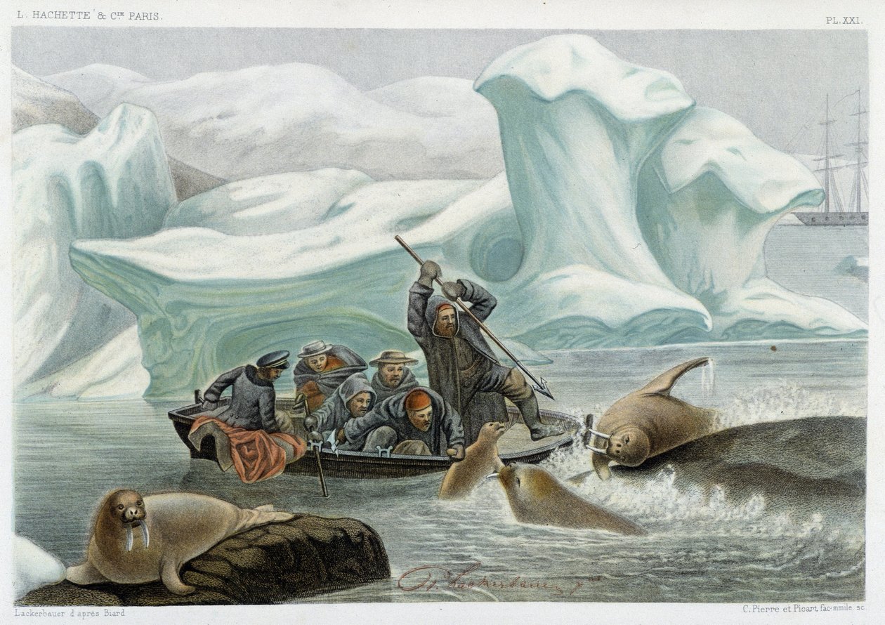 Walrus Hunting - in “The World of the Sea” by Alfred Fredol, Hachette, Paris by French School