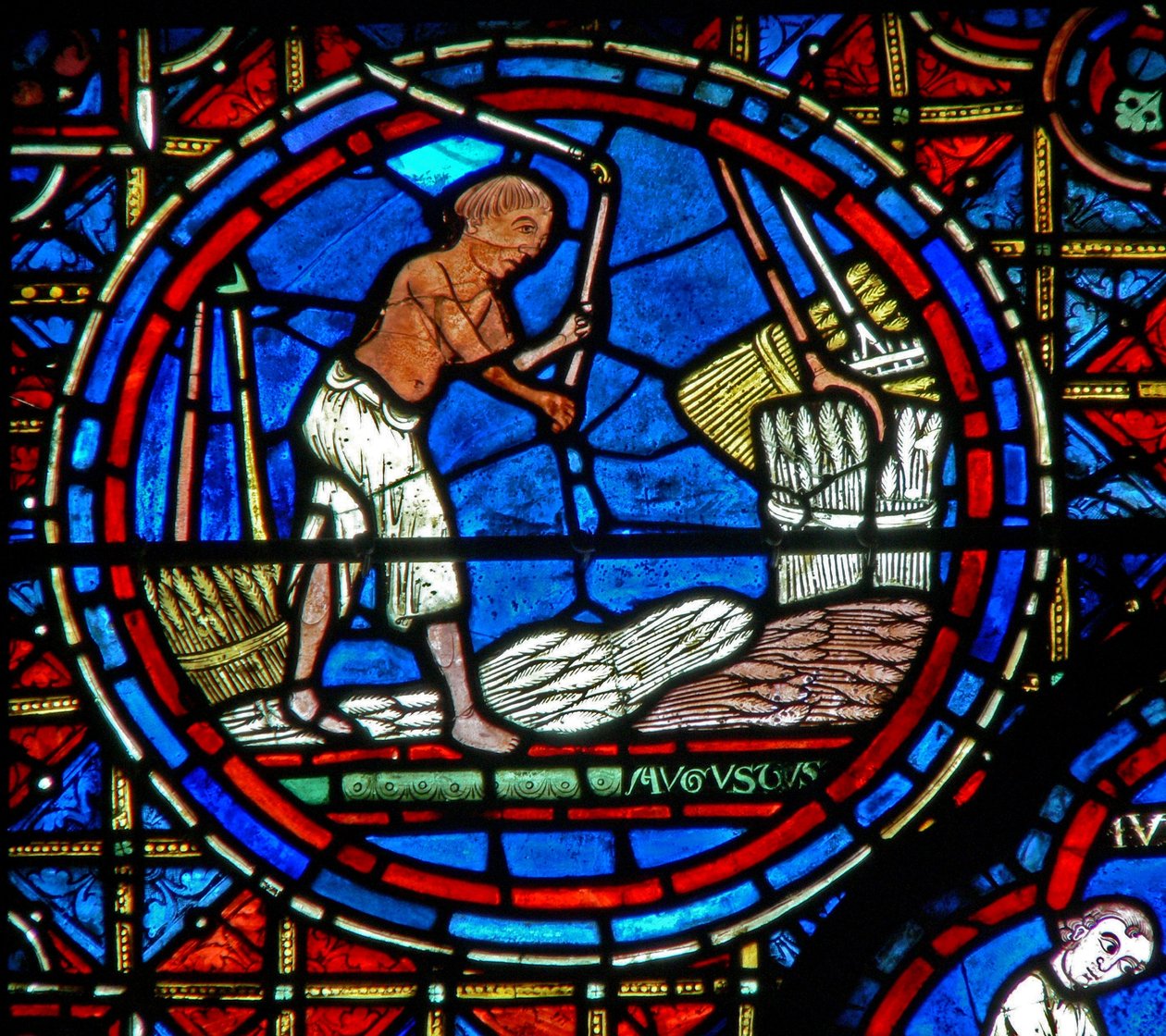 Window W28a Depicting the Labours of the Months: August by French School