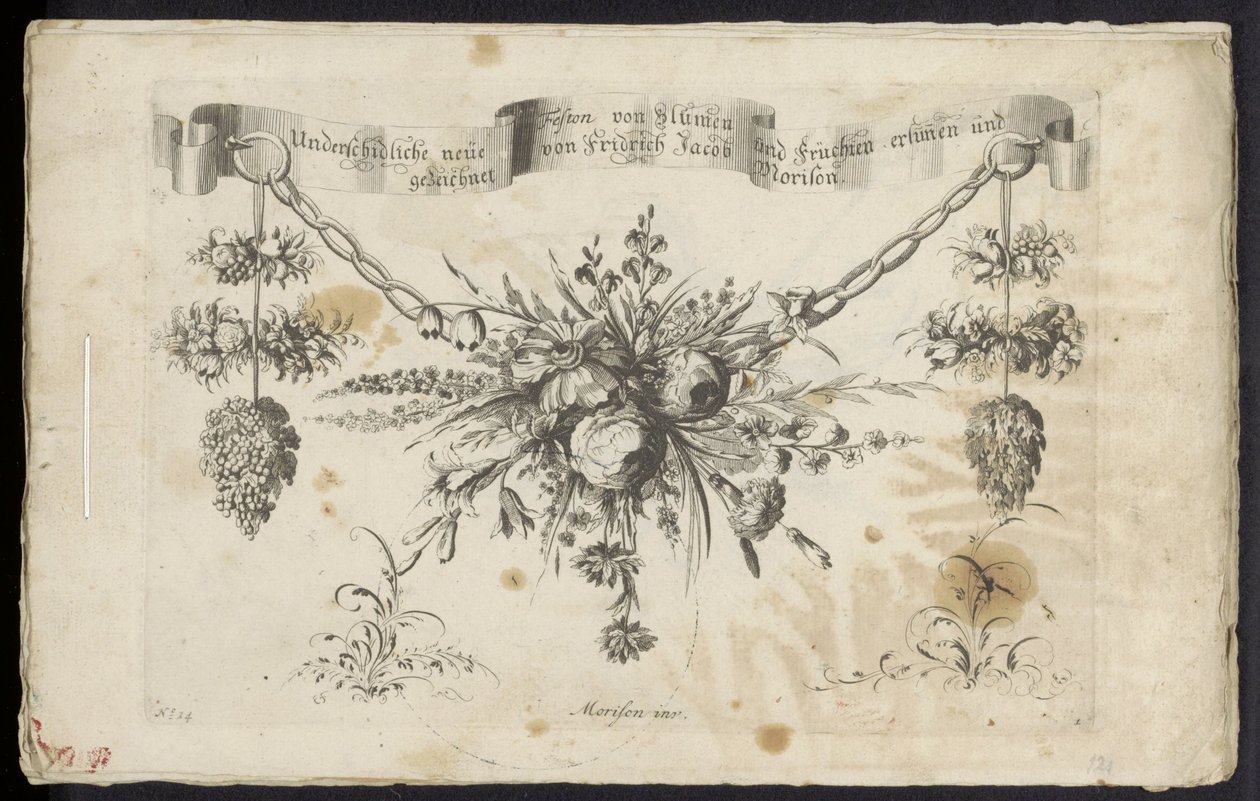 Various New Festoon of Flowers and Fruits by Friedrich Jacob Morisson