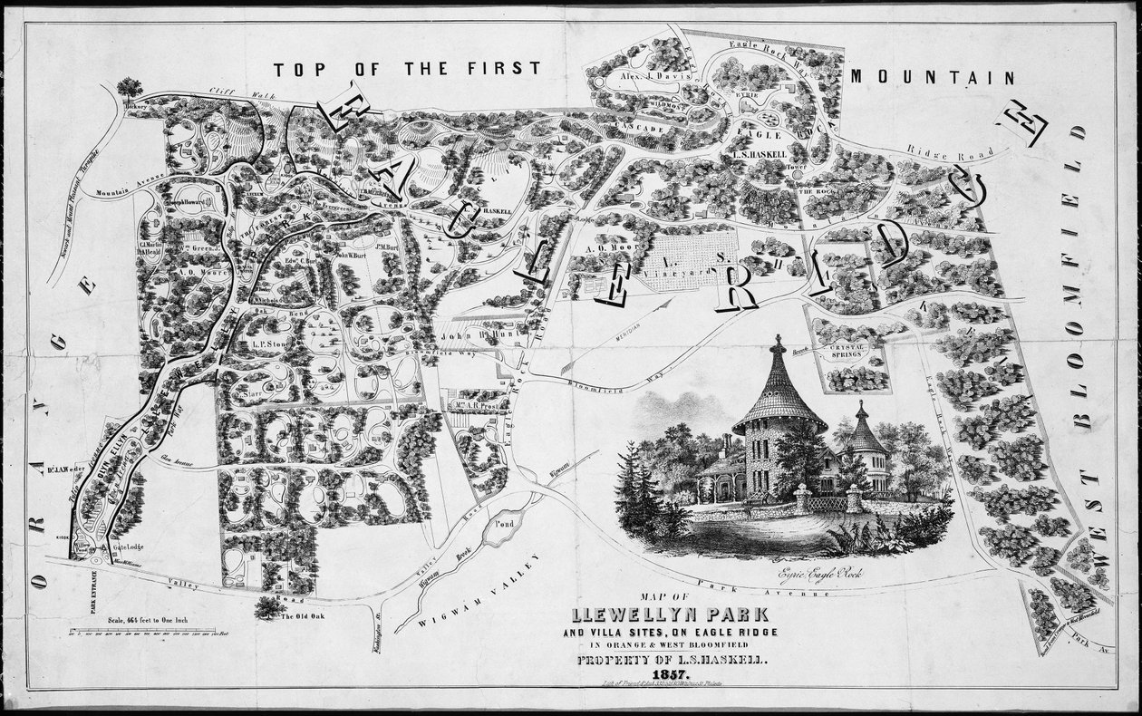 Map of Llewellyn Park and Villa Sites, on Eagle Ridge in Orange & West Bloomfield, 1857 by Friend and Aub