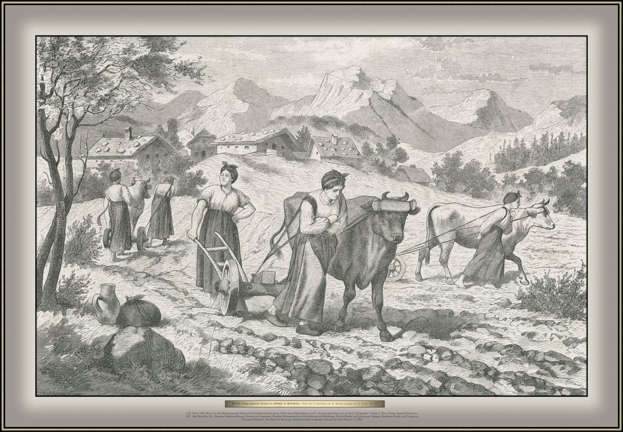 Book Before the Plow Drawn by Women of the Gödsch in Lower Carniola by G. Arnould