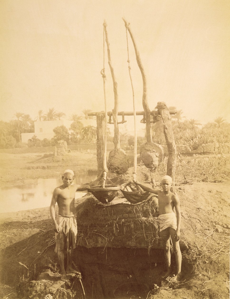 An Egyptian Irrigation Machine on the Banks of the Nile