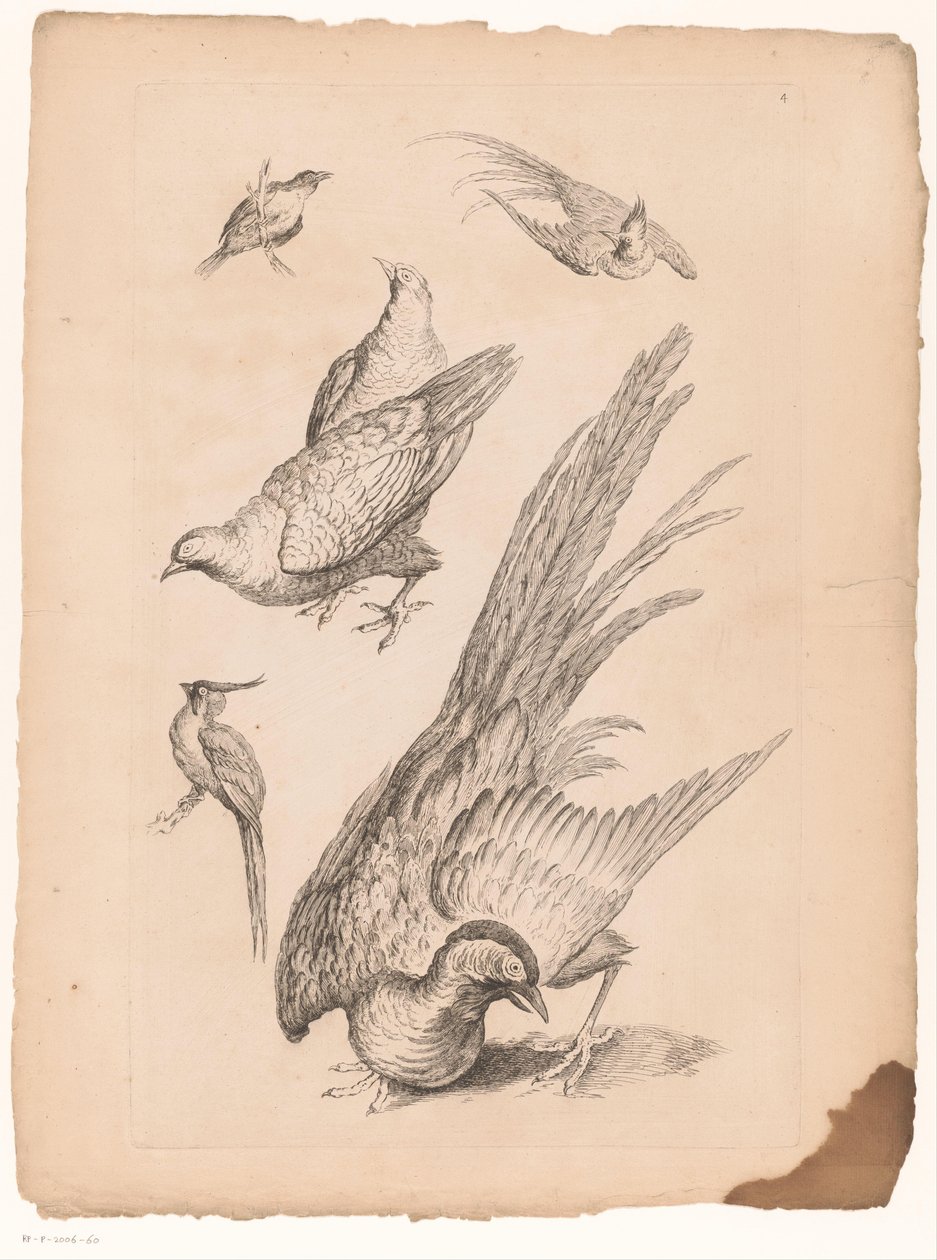 Six Chinese Birds (Livre des differentes espèces d