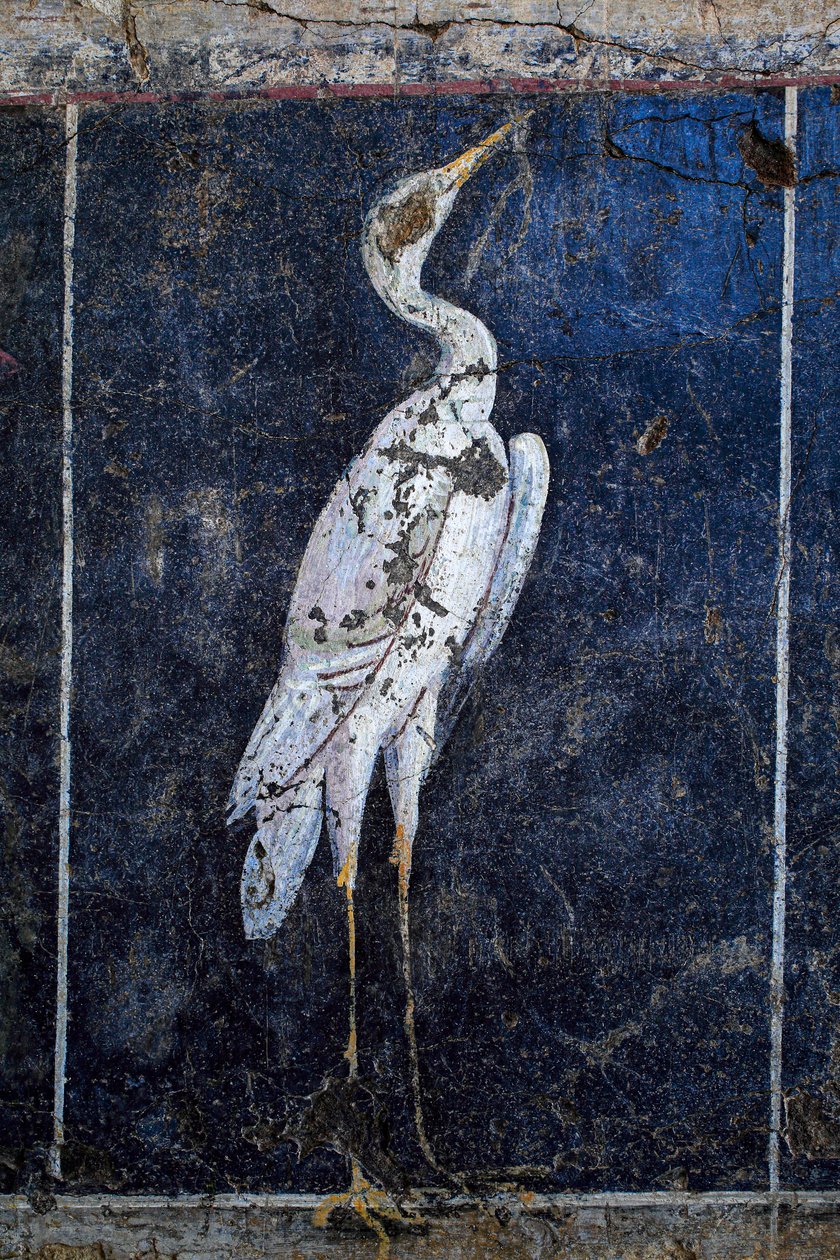 Roman Wall-Painting by Gallo-Roman