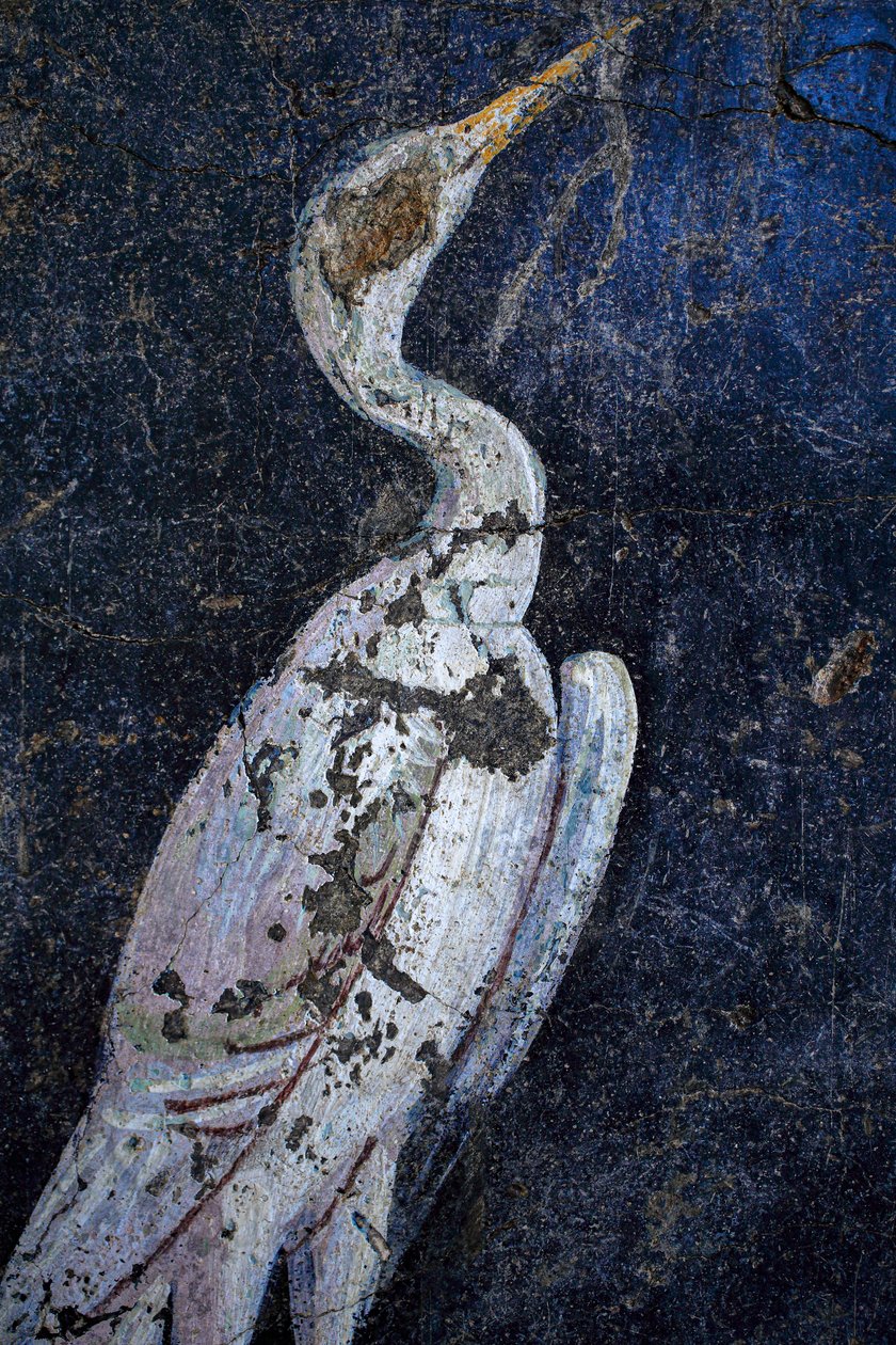 Roman Wall-Painting by Gallo-Roman