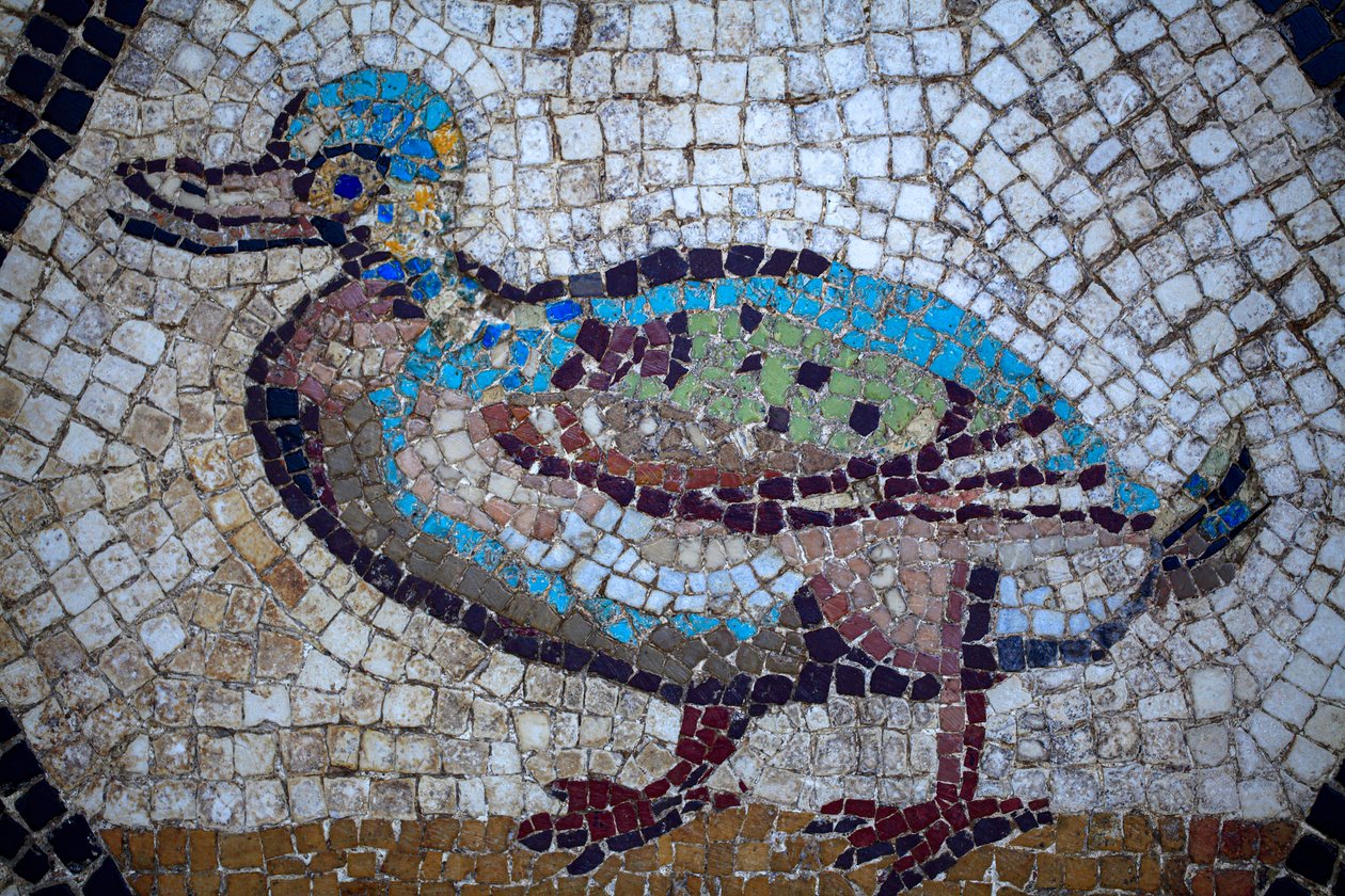 Roman Mosaic by Gallo-Roman Gallo-Roman