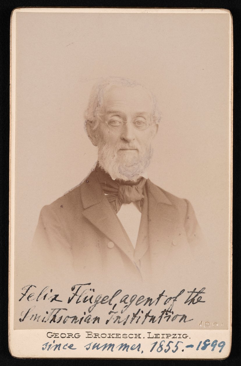 Portrait of Felix Flugel by Georg Conrad Adolph Brokesch