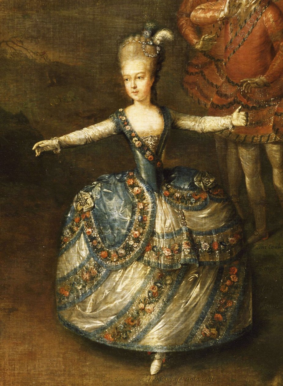 Fête Organized to Celebrate the Marriage of the Emperor Joseph II to Princess Marie-Josèphe of Bavaria by Johann Georg Weikert