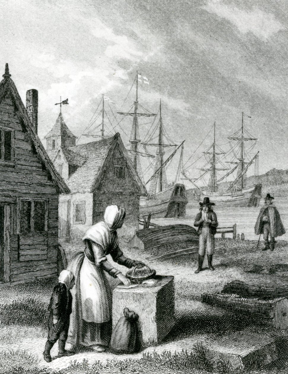 The Waterman