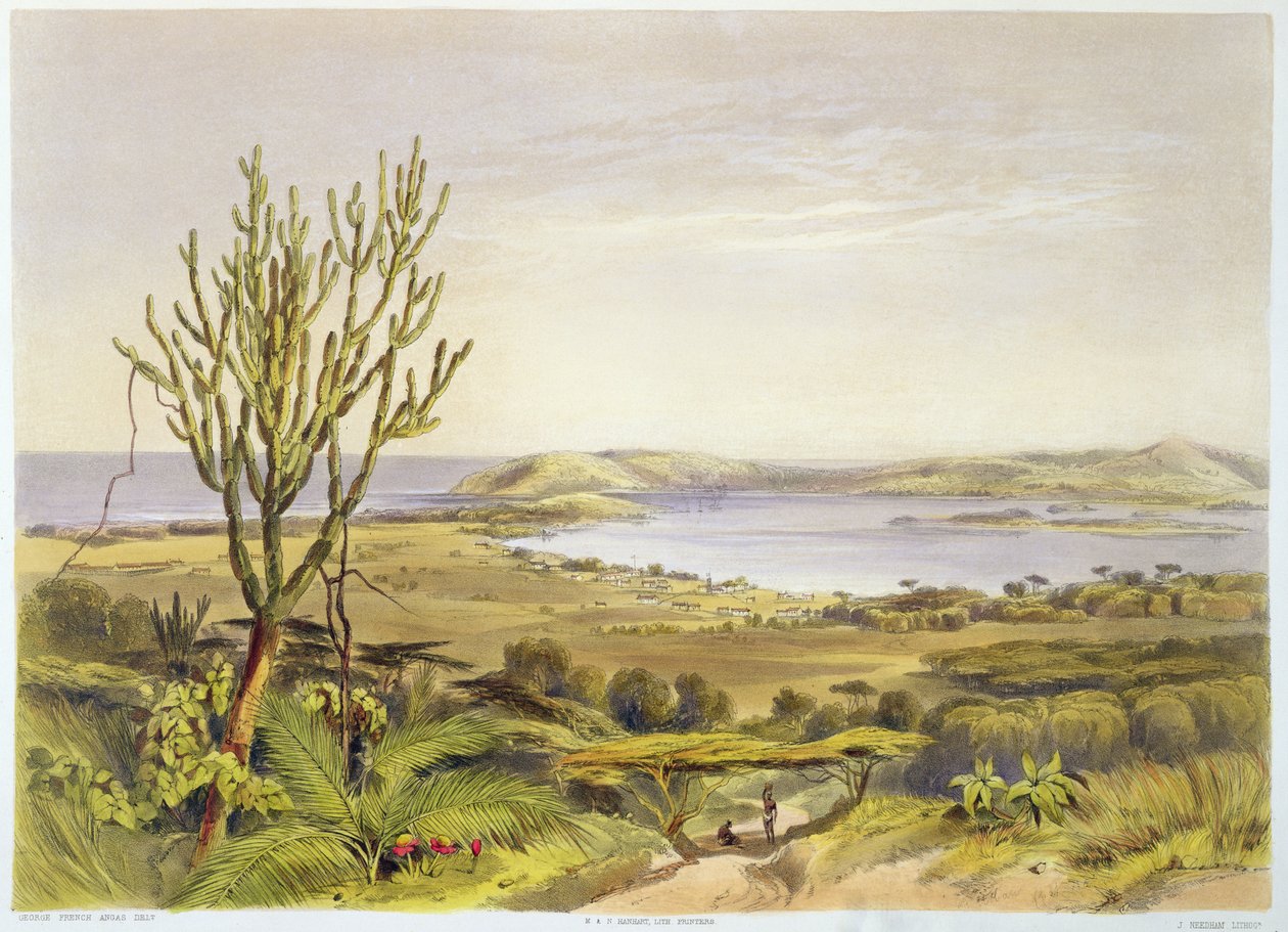 Durban, Port Natal, plate 28 from 