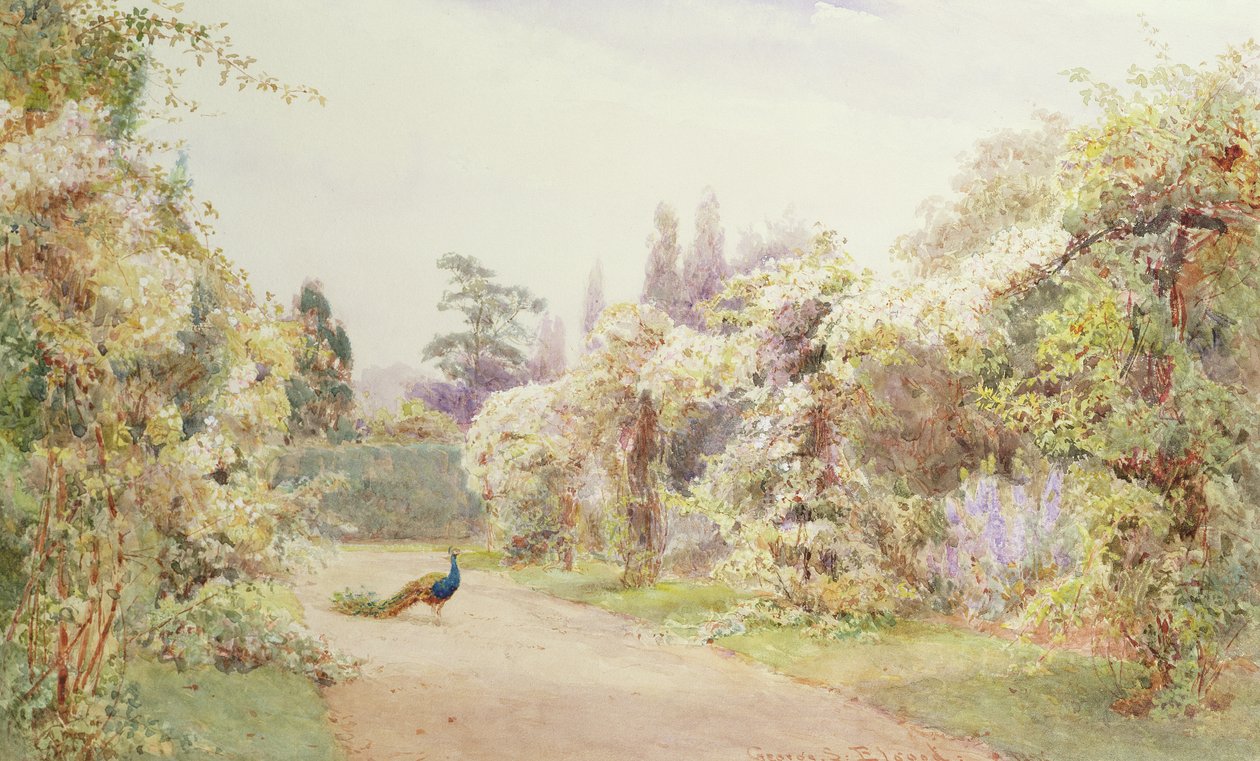 Summer Garden with a Peacock by George Samuel Elgood