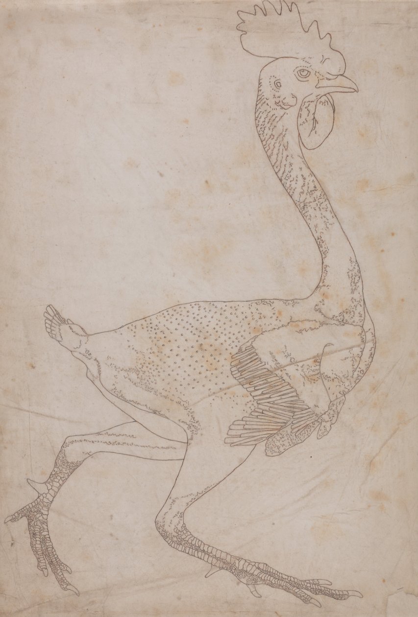 A Comparative Anatomical Exposition of the Structure of the Human Body with That of a Tiger and a Cow by George Stubbs