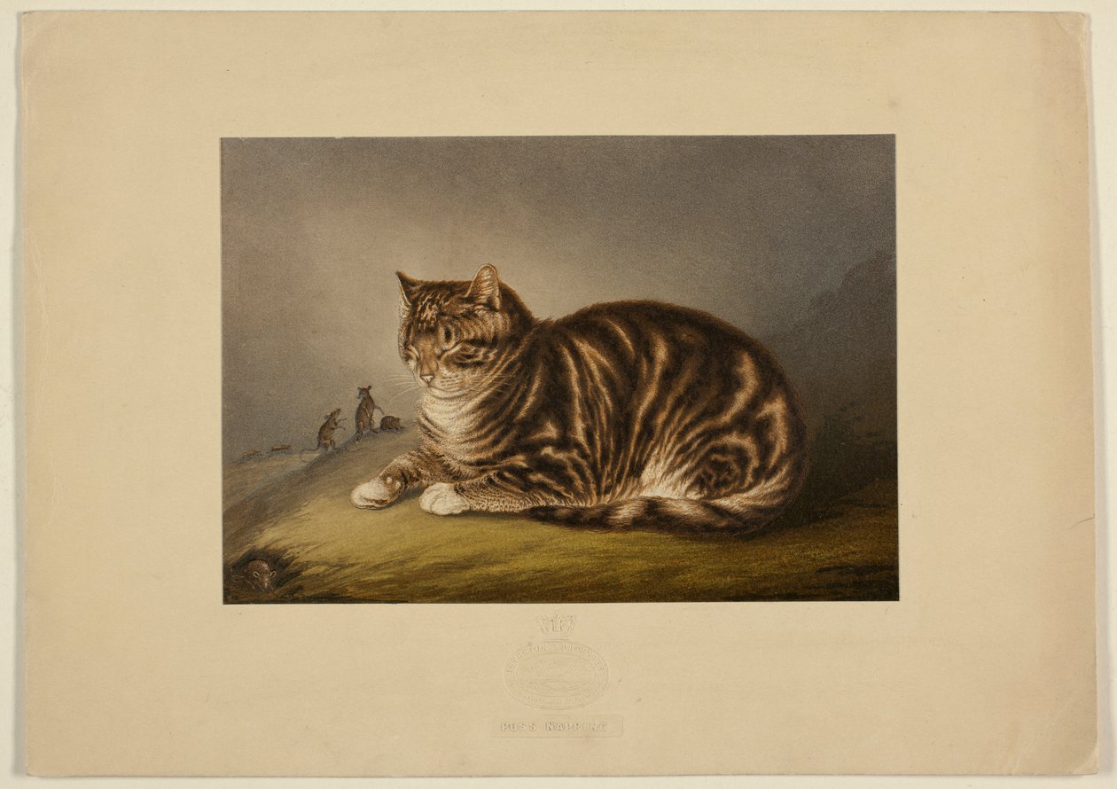 Puss Napping by George Baxter