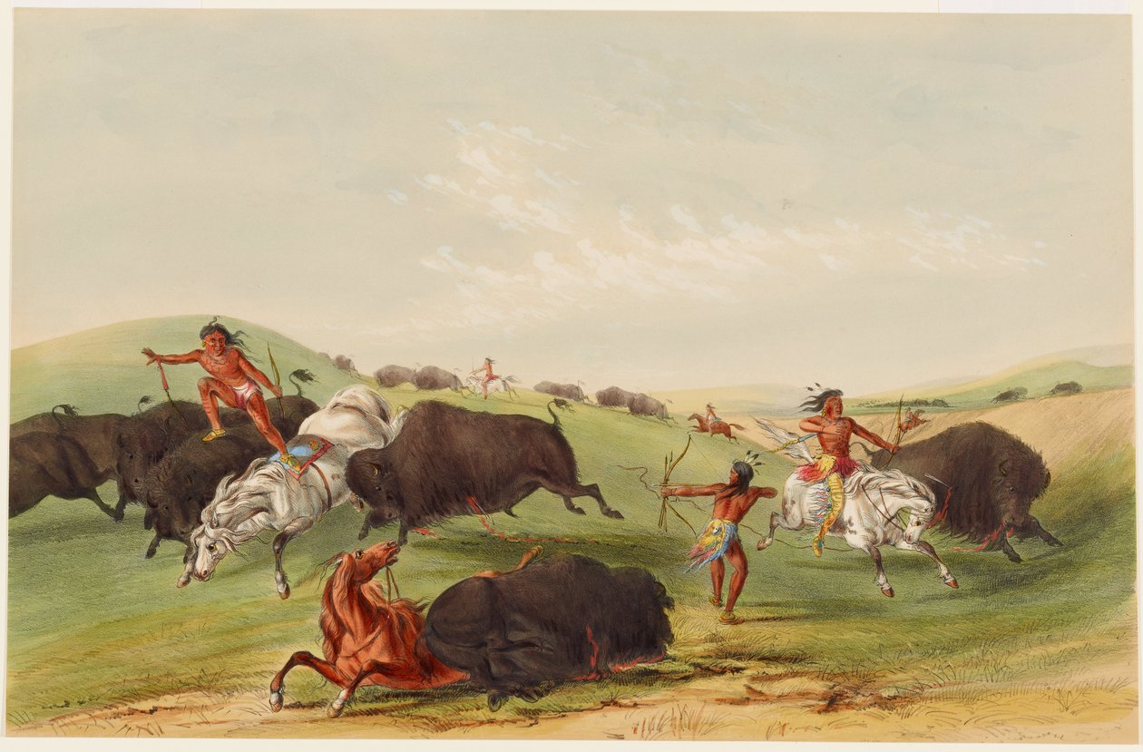 Buffalo Hunt: Chase by George Catlin