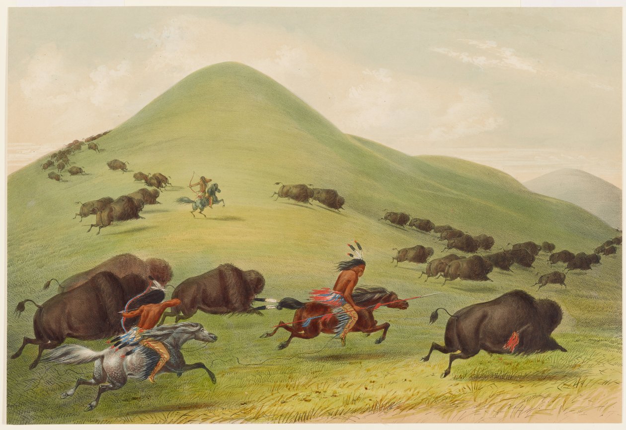 Buffalo Hunt: Chase by George Catlin