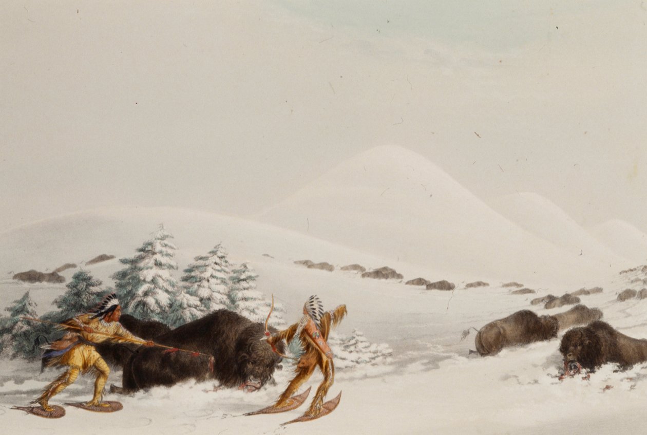 Buffalo Hunt, On Snow Shoes by George Catlin