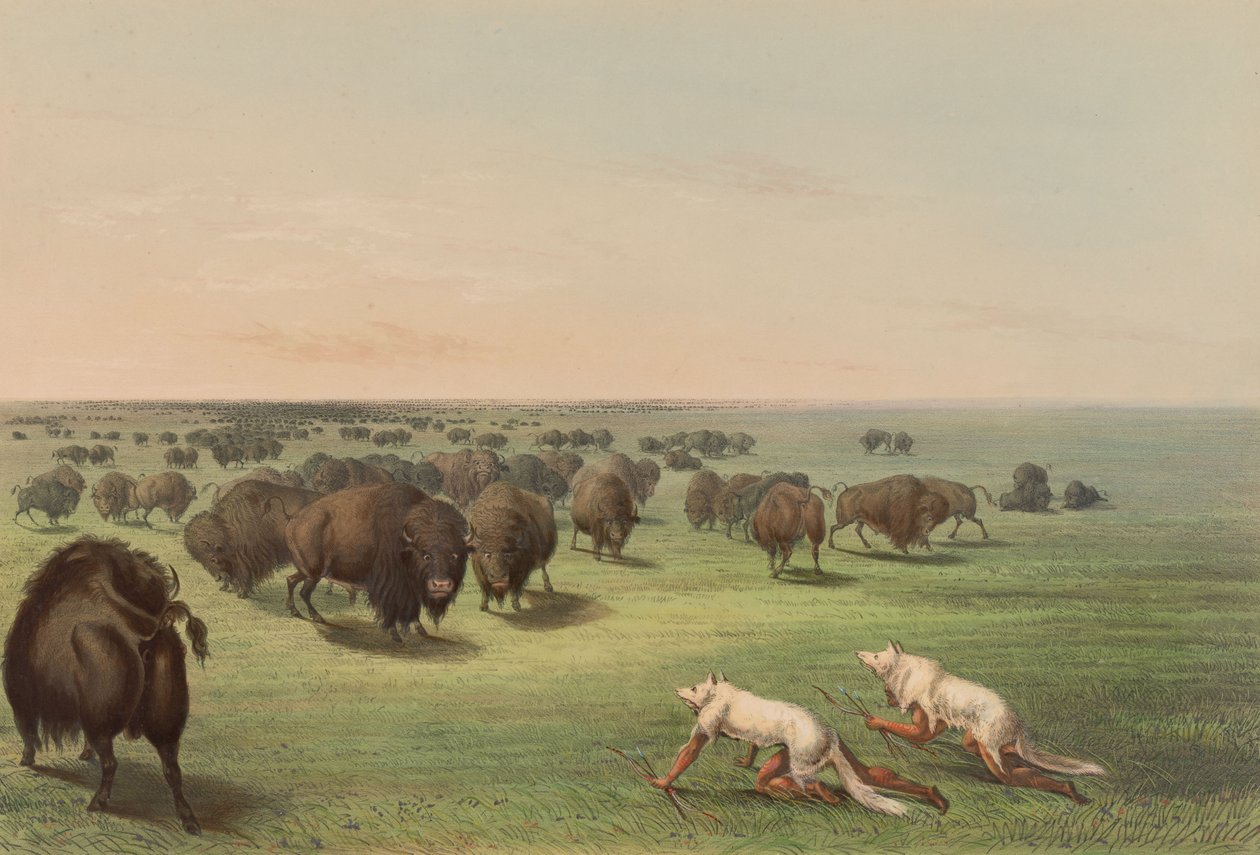 Buffalo Hunt, With Wolf Skin, Plate 13 from the North American Indian Portfolio by George Catlin