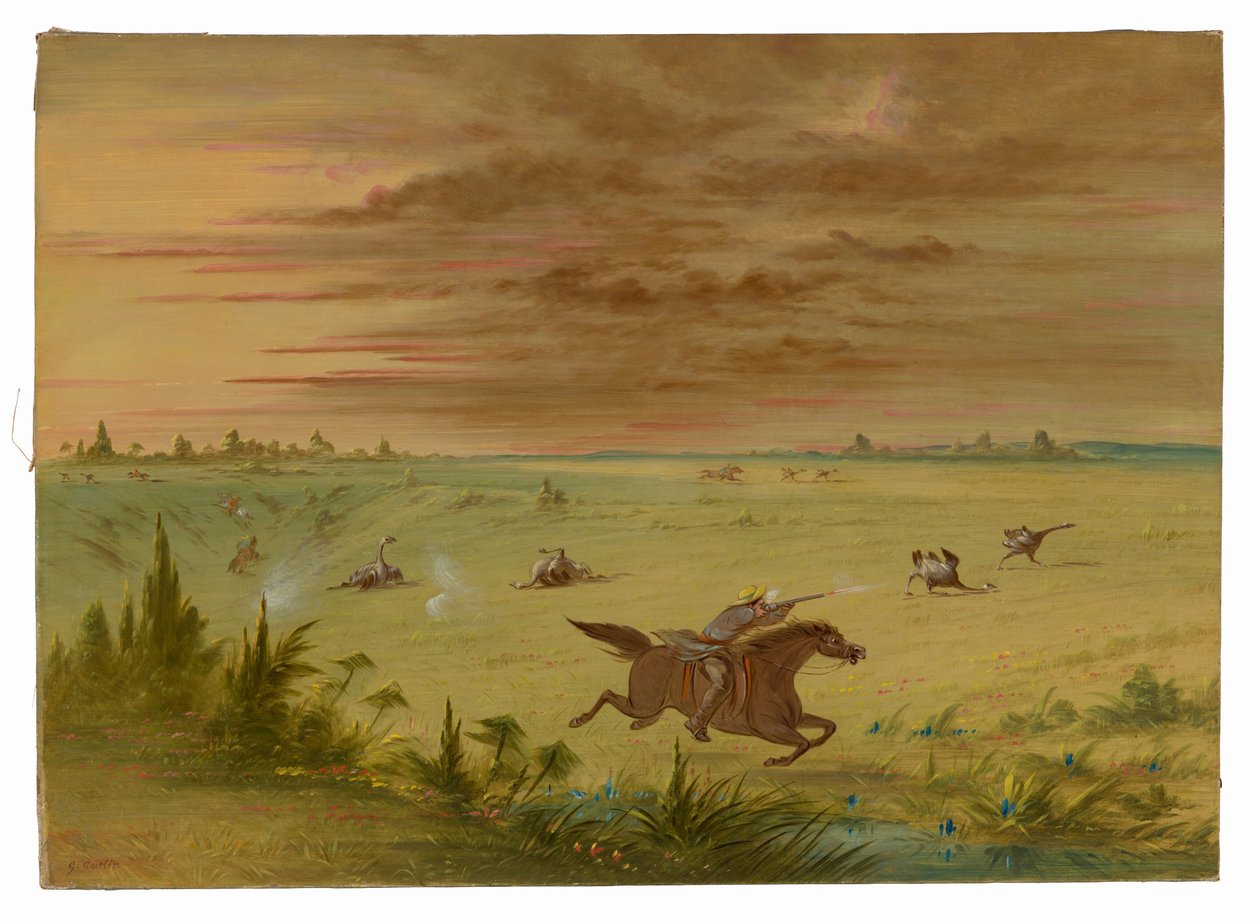 Ostrich Chase, Buenos Aires - Auca by George Catlin