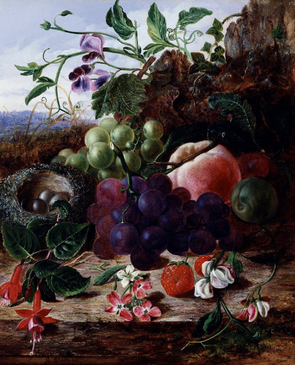 Still Life of Fruit, Fuchsia and Bird