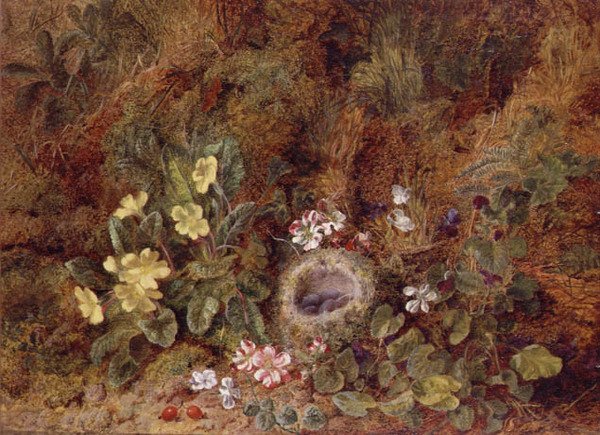 Still Life with Bird