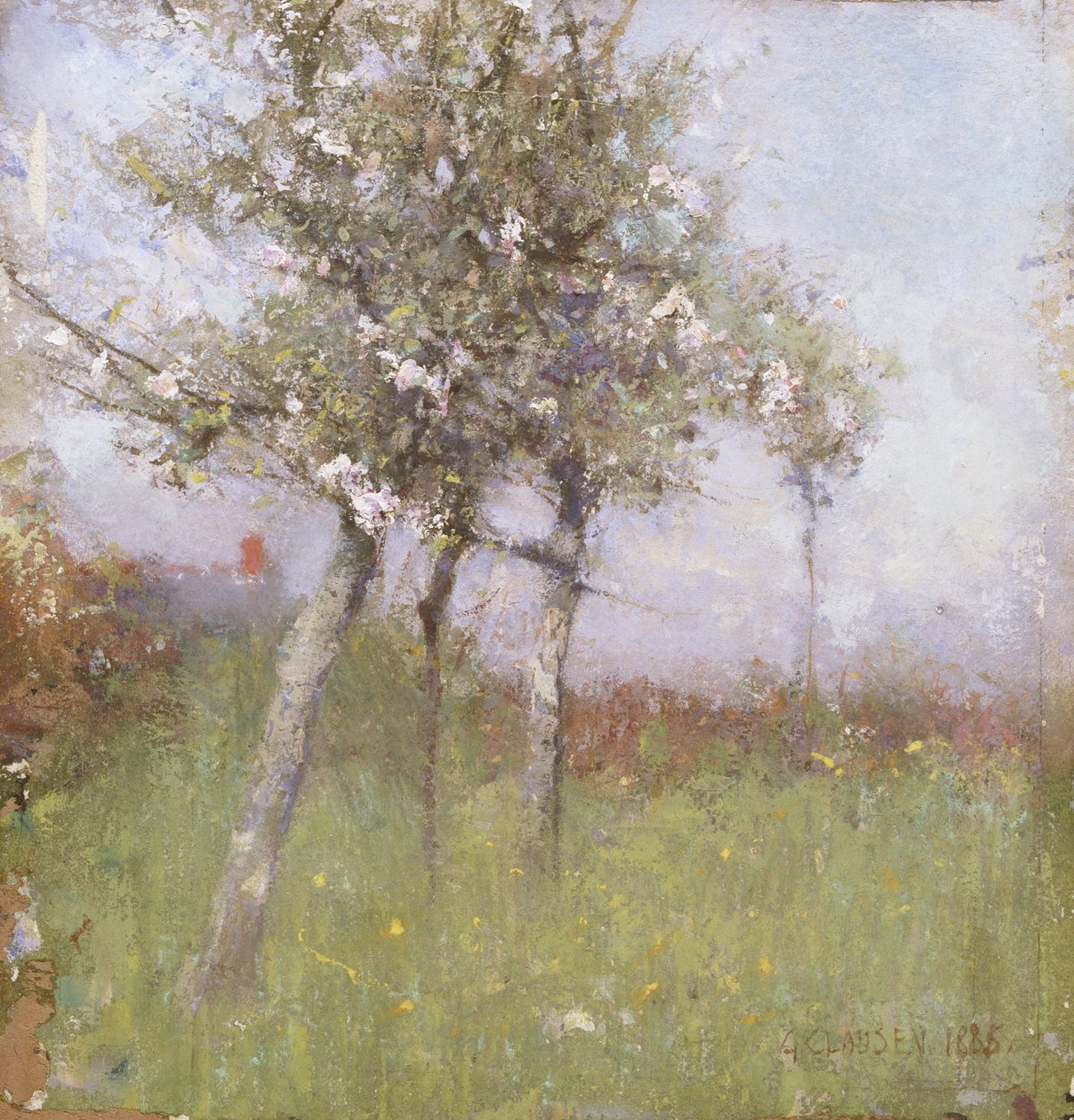 Apple Blossom by George Clausen