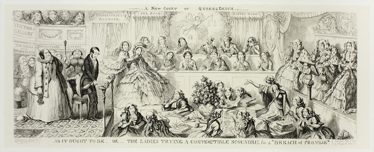 As It Ought to Be or The Ladies Trying a Contemptible Scoundrel for a 