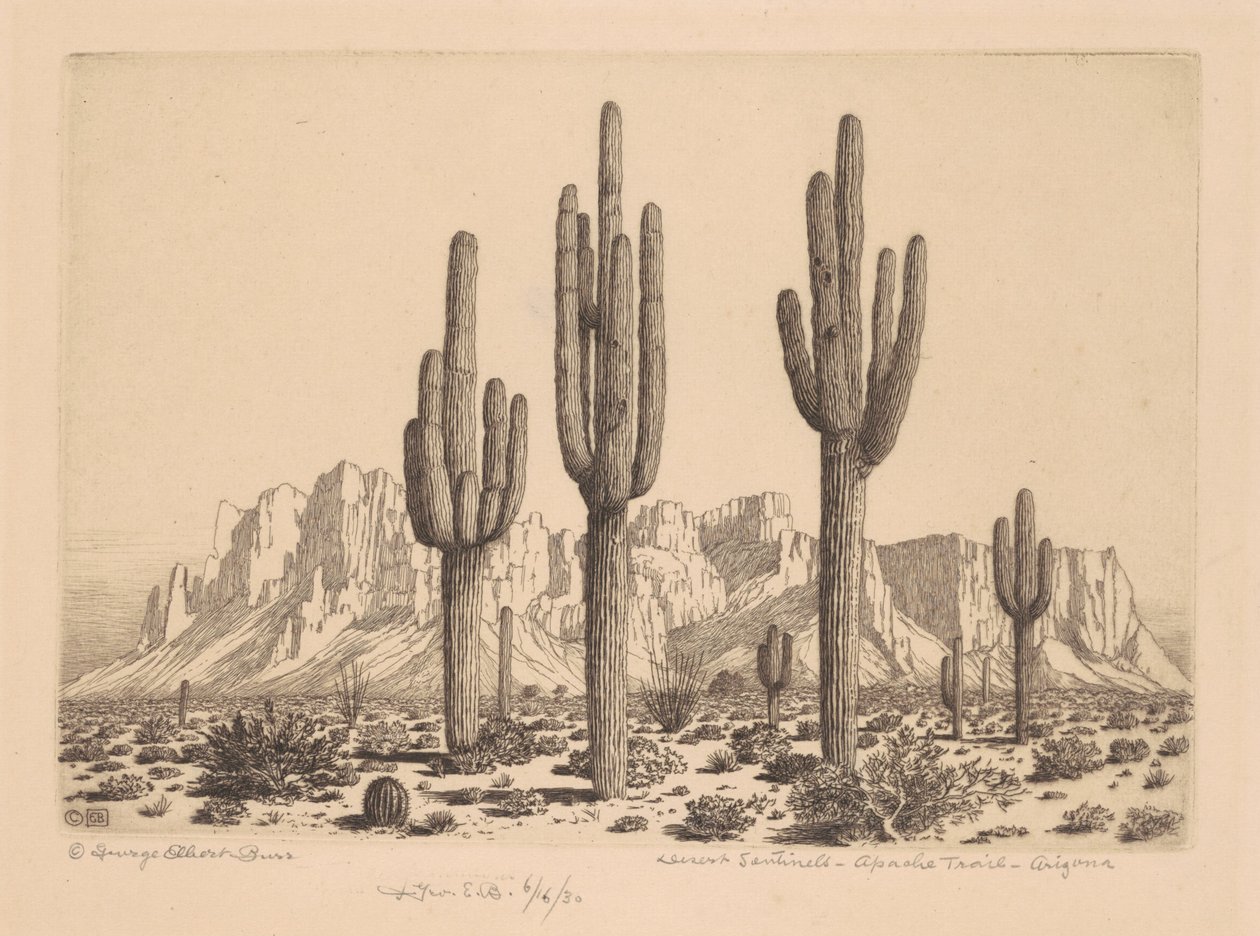 Desert Sentinels, Apache Trail, Arizona by George Elbert Burr