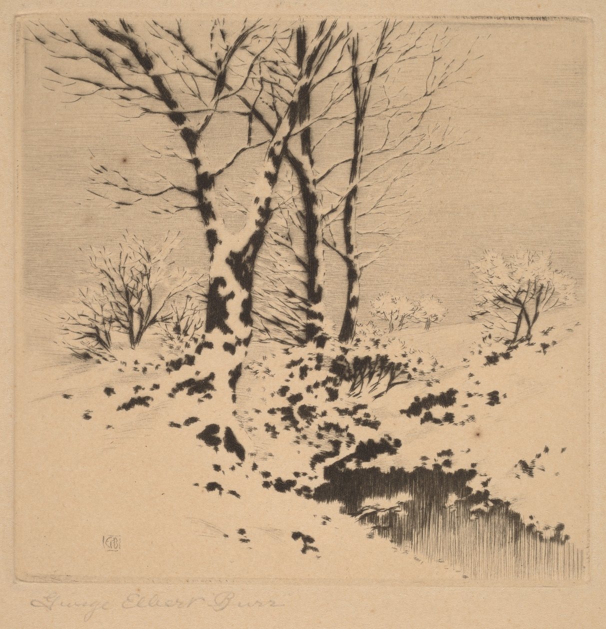 Snow by George Elbert Burr