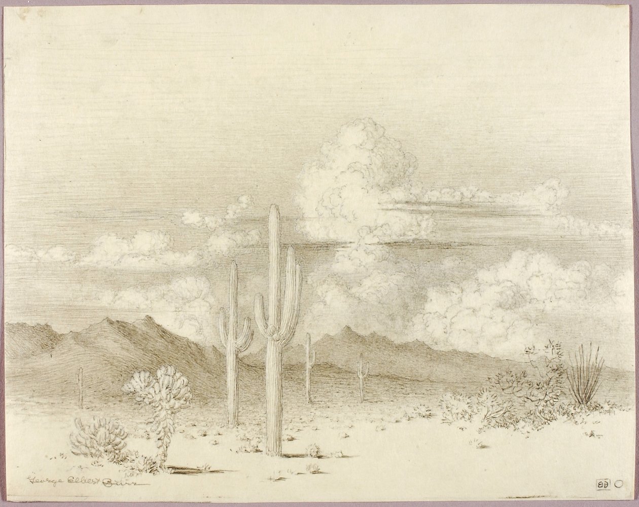 Untitled (transfer drawing for Evening, Paradise Valley, Arizona) by George Elbert Burr