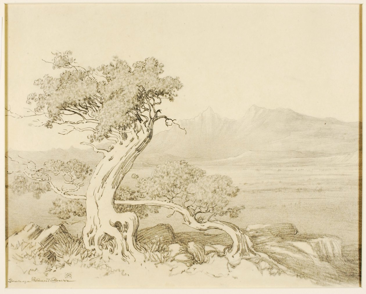 Untitled (transfer drawing for Old Cedars and Spanish Peaks) by George Elbert Burr