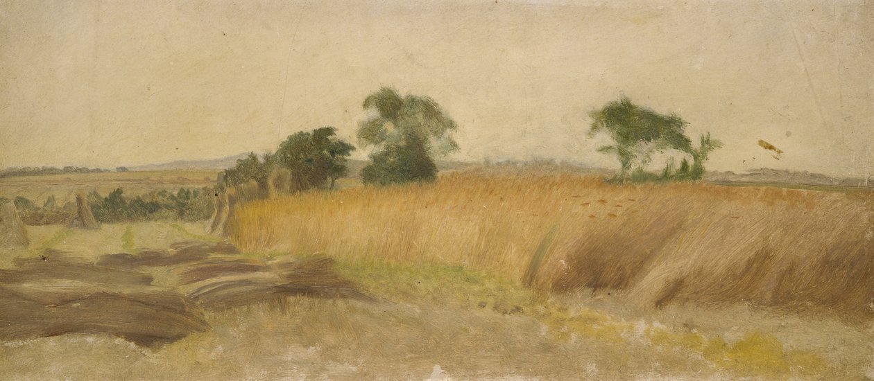 Study of a Cornfield by George Hemming Mason