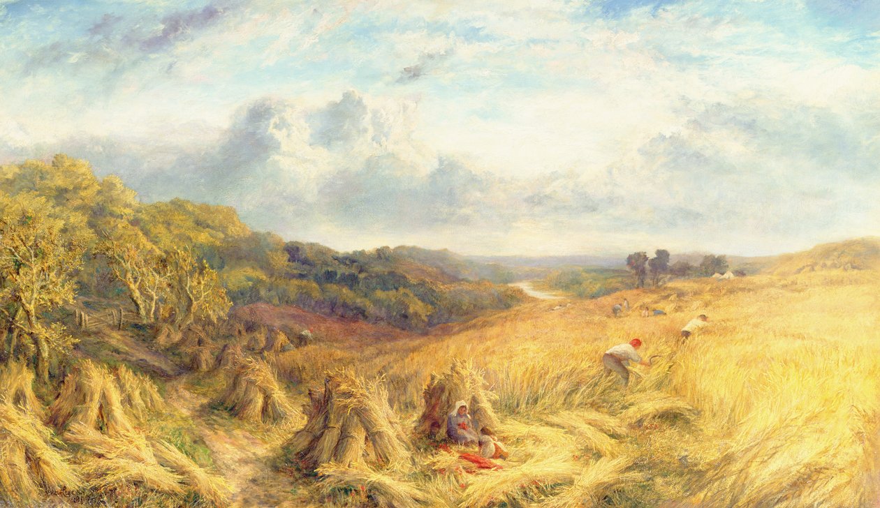 Fair Waves the Golden Corn by George Lucas