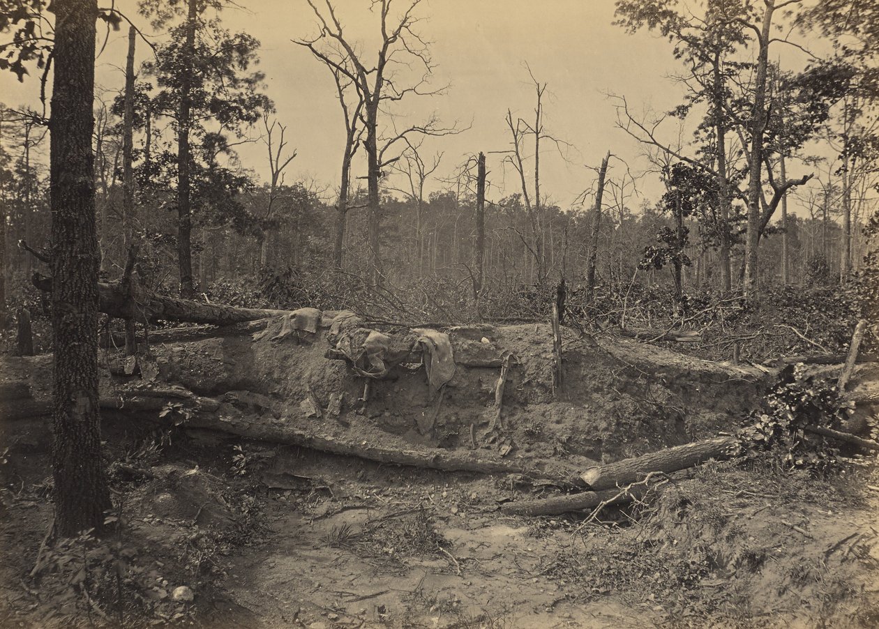 Battlefield of New Hope Church, Georgia, No. 2 by George N. Barnard