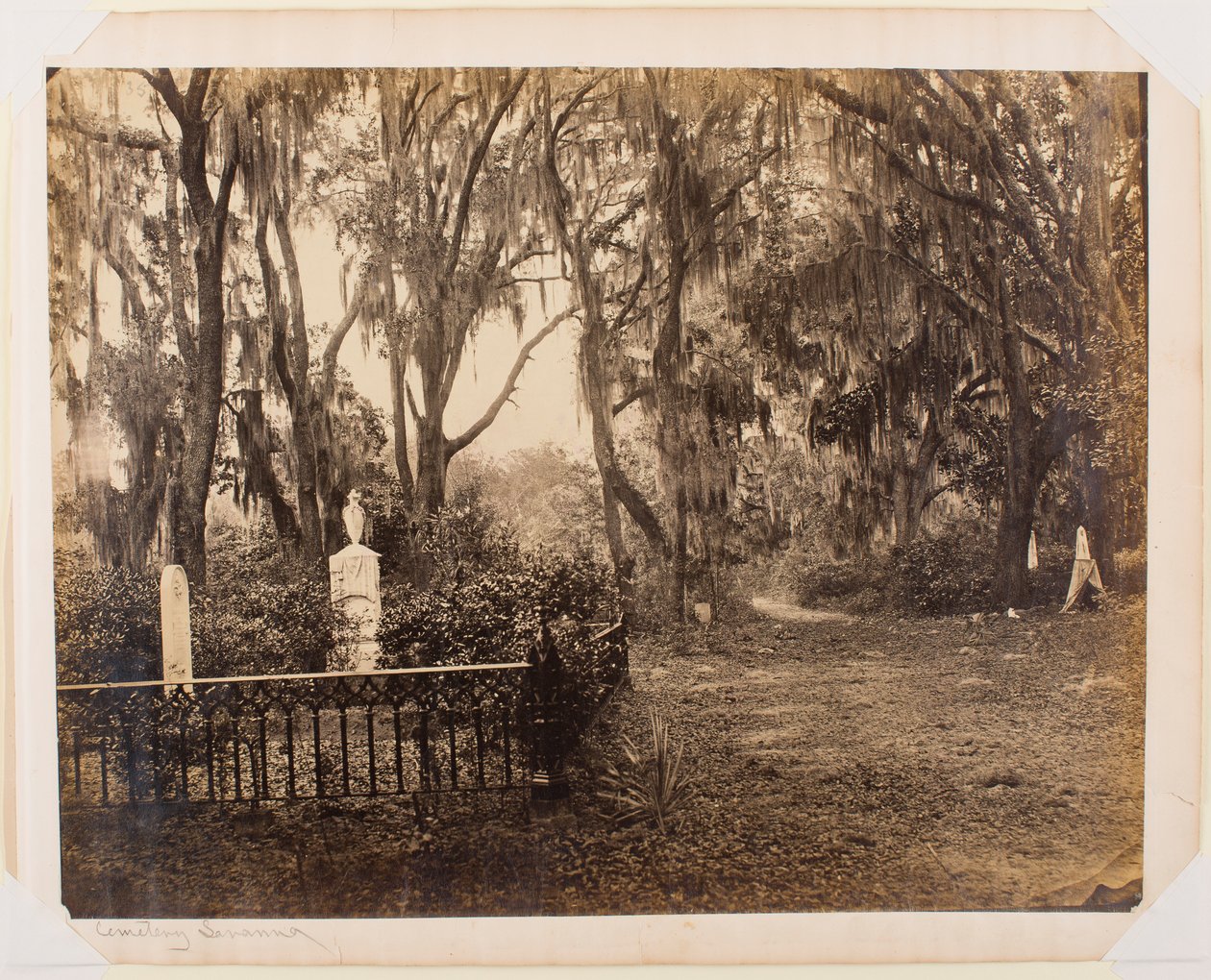 Buen-Ventura, Savannah, Georgia by George N. Barnard