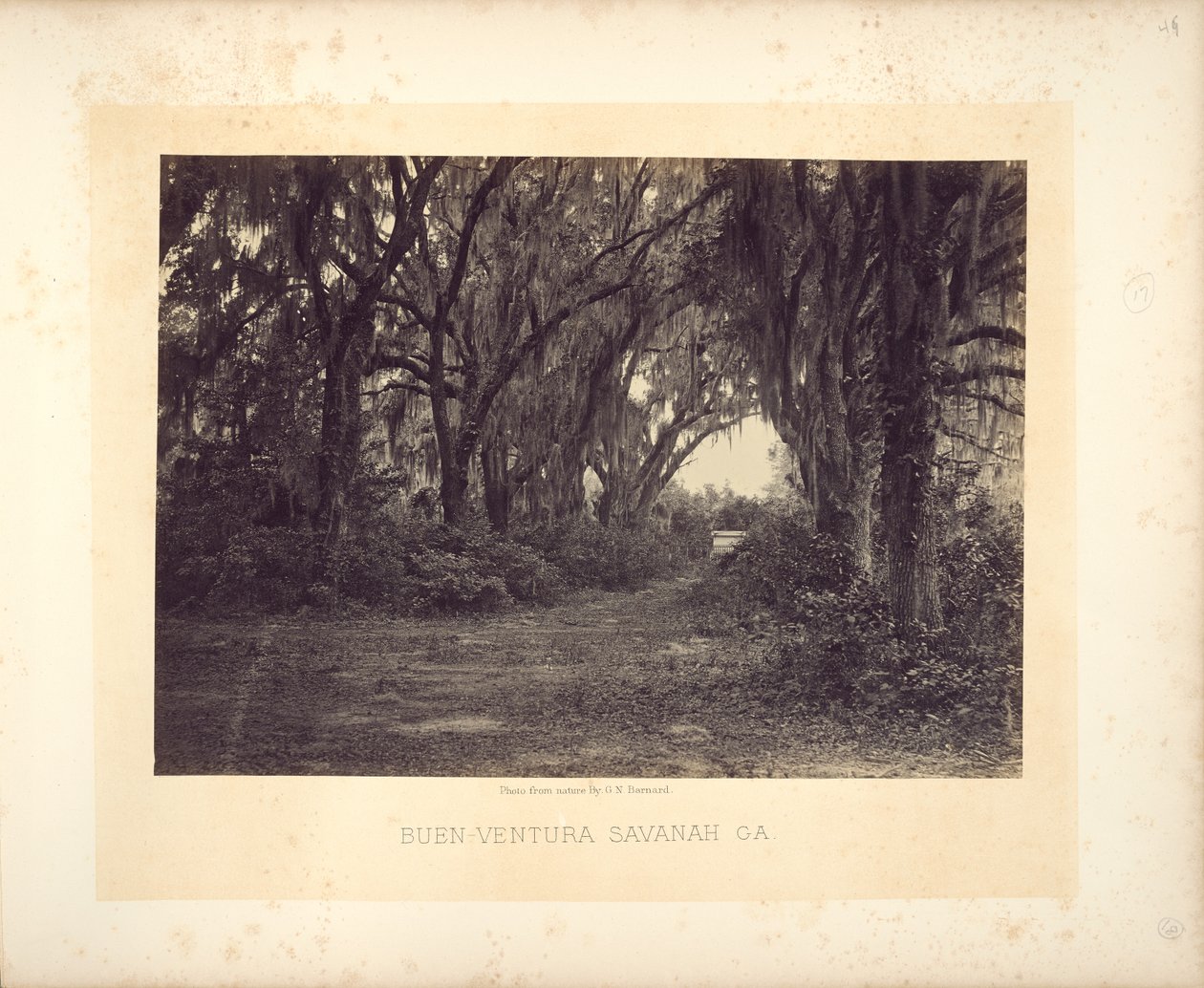 Buen-Ventura Savannah, Georgia by George N. Barnard
