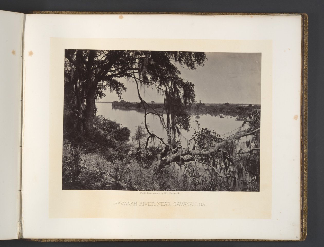 Savannah River, Near Savannah, Georgia by George N. Barnard