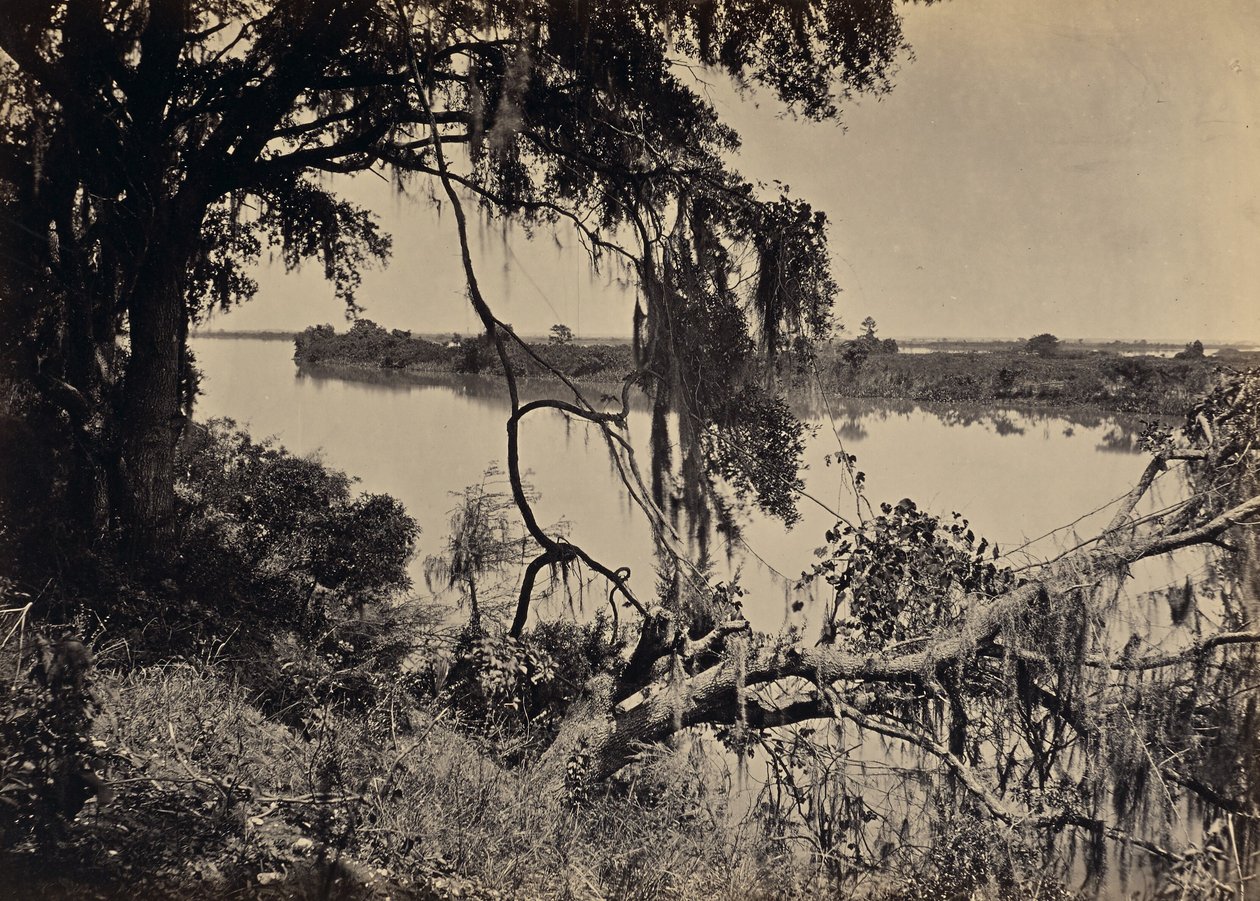 Savannah River, Near Savannah Georgia by George N. Barnard