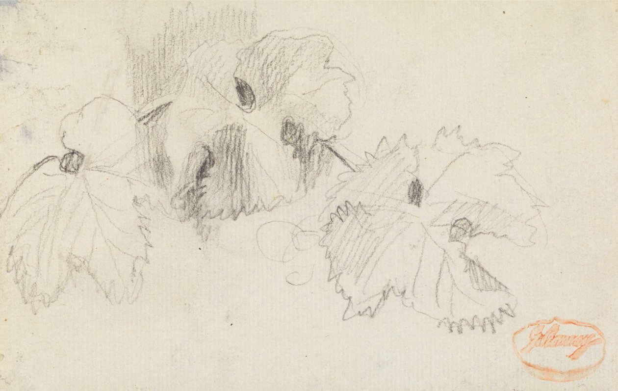 Study of Leaves 1 by George Romney