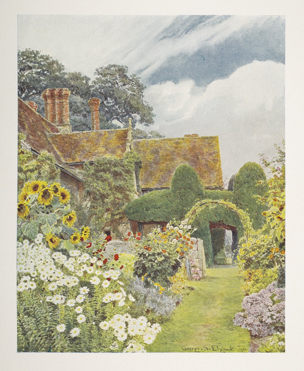 Cleeve Prior, Sunflowers, illustration in 'Some English Gardens', by ...