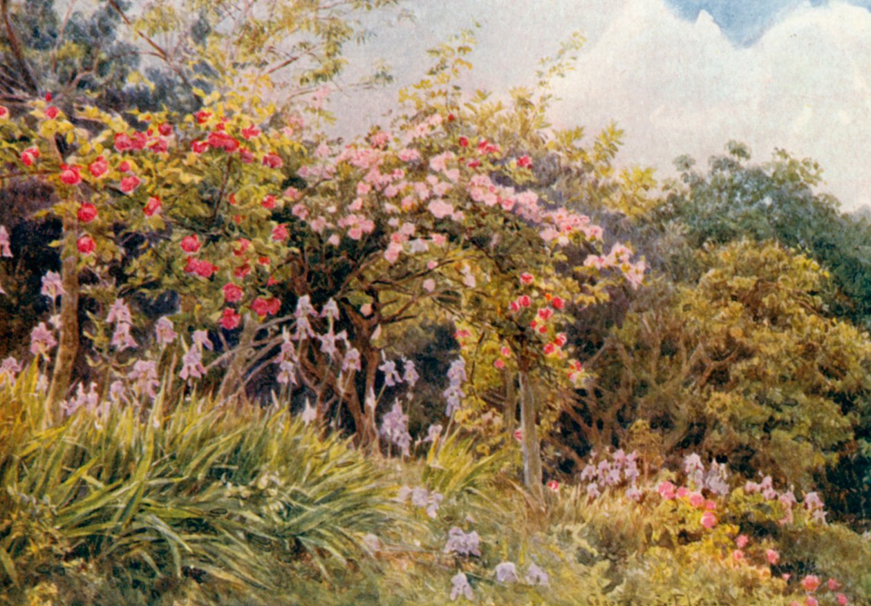 Roses and Iris by George Samuel Elgood