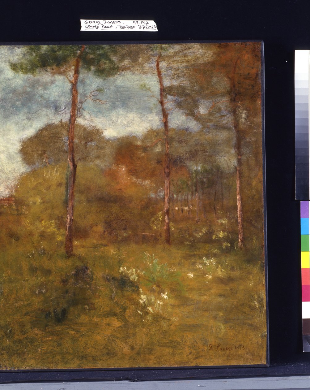 Orange Road, Tarpon Springs by George Snr. Inness