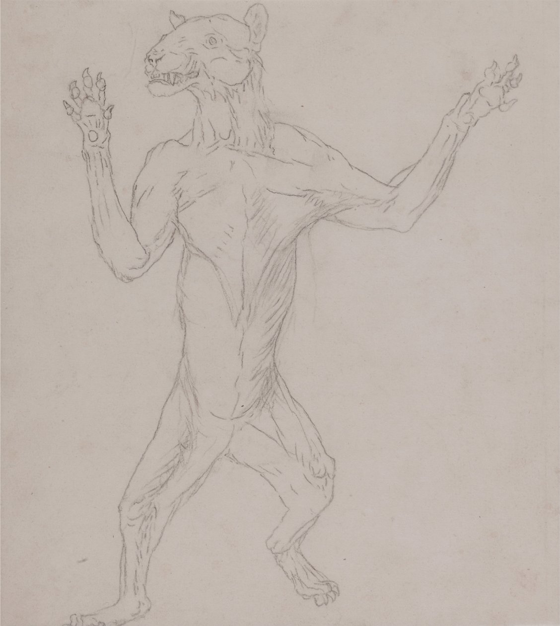 Tiger Body, Standing in Human Posture by George Stubbs
