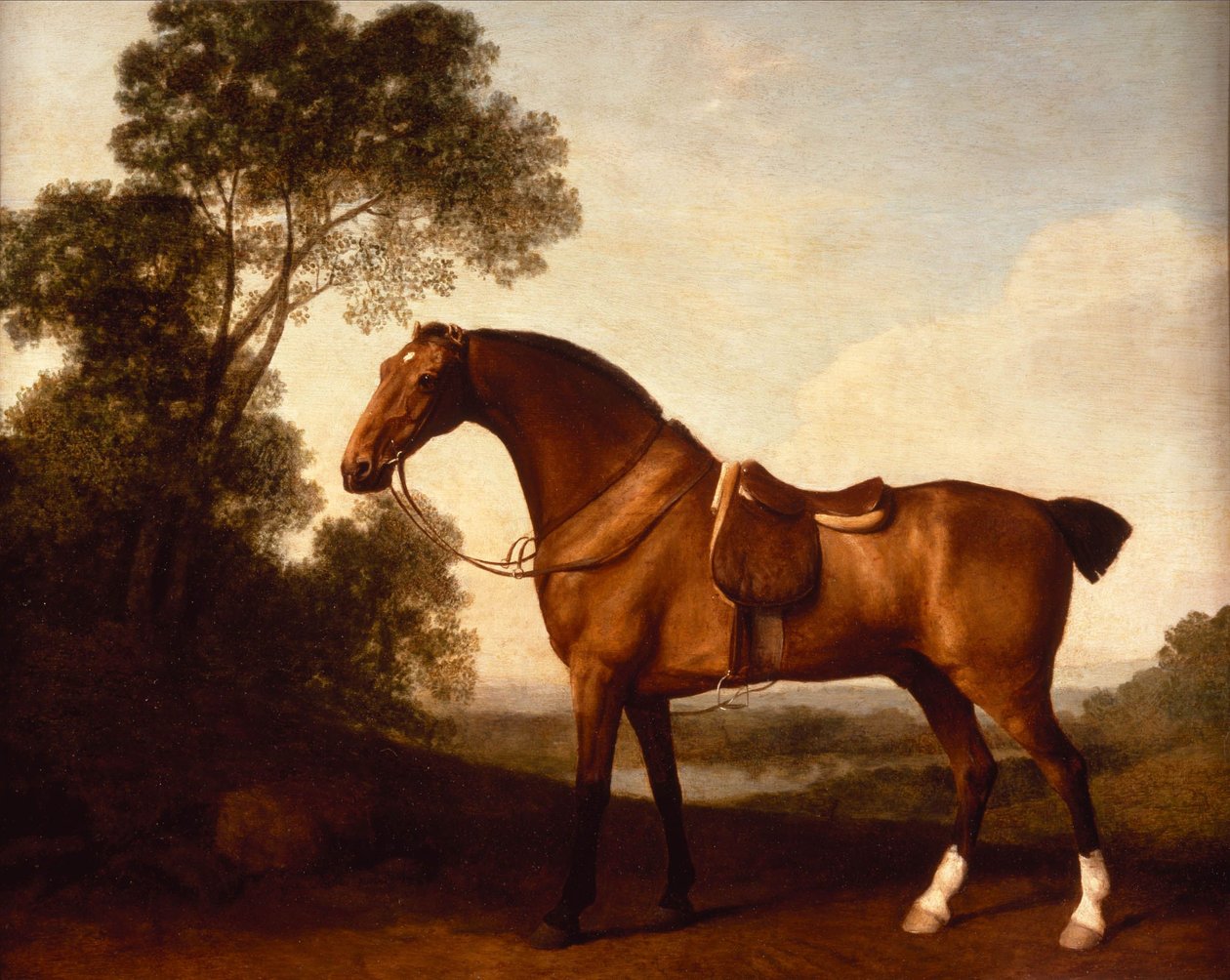 A Saddled Bay Hunter by George Stubbs