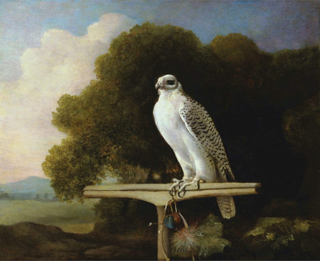 Greenland Falcon by George Stubbs