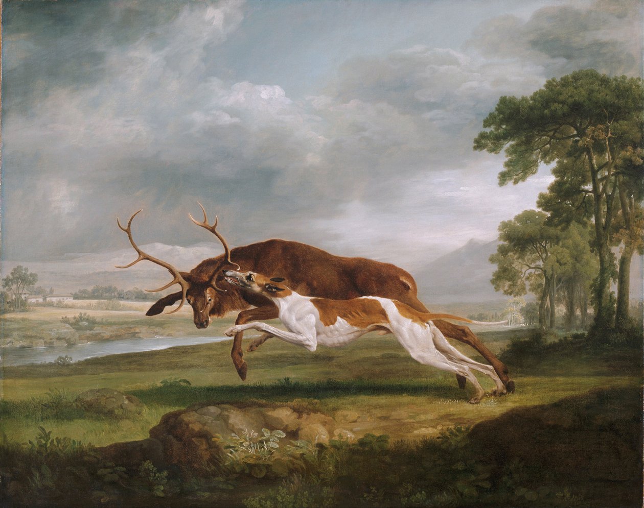 Hound Coursing a Stag by George Stubbs