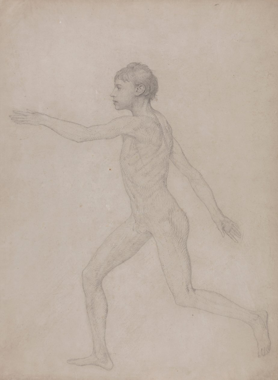 Human Figure, Lateral View by George Stubbs: Fine art print