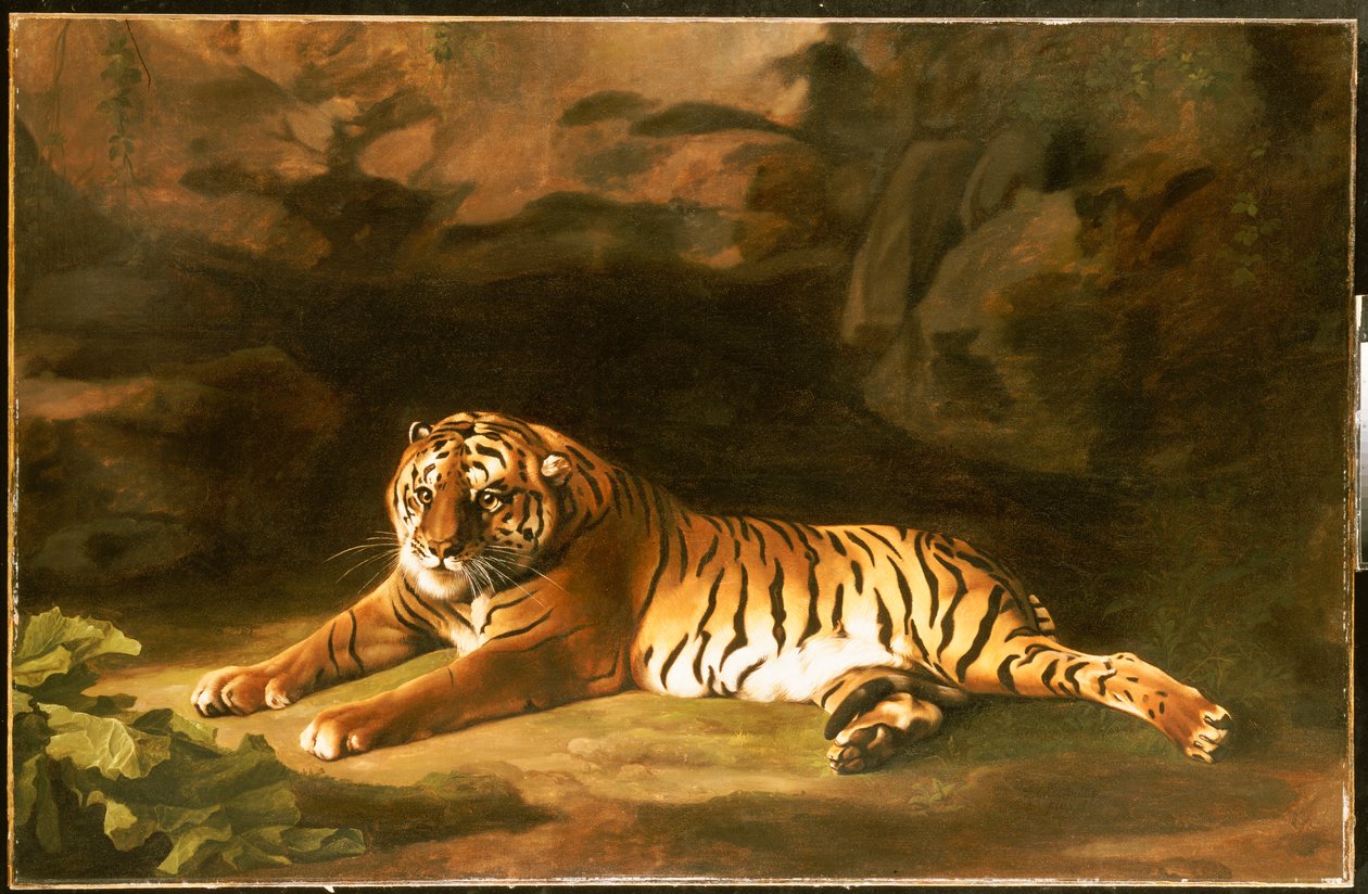 Portrait of the Royal Tiger, c.1770 by George Stubbs