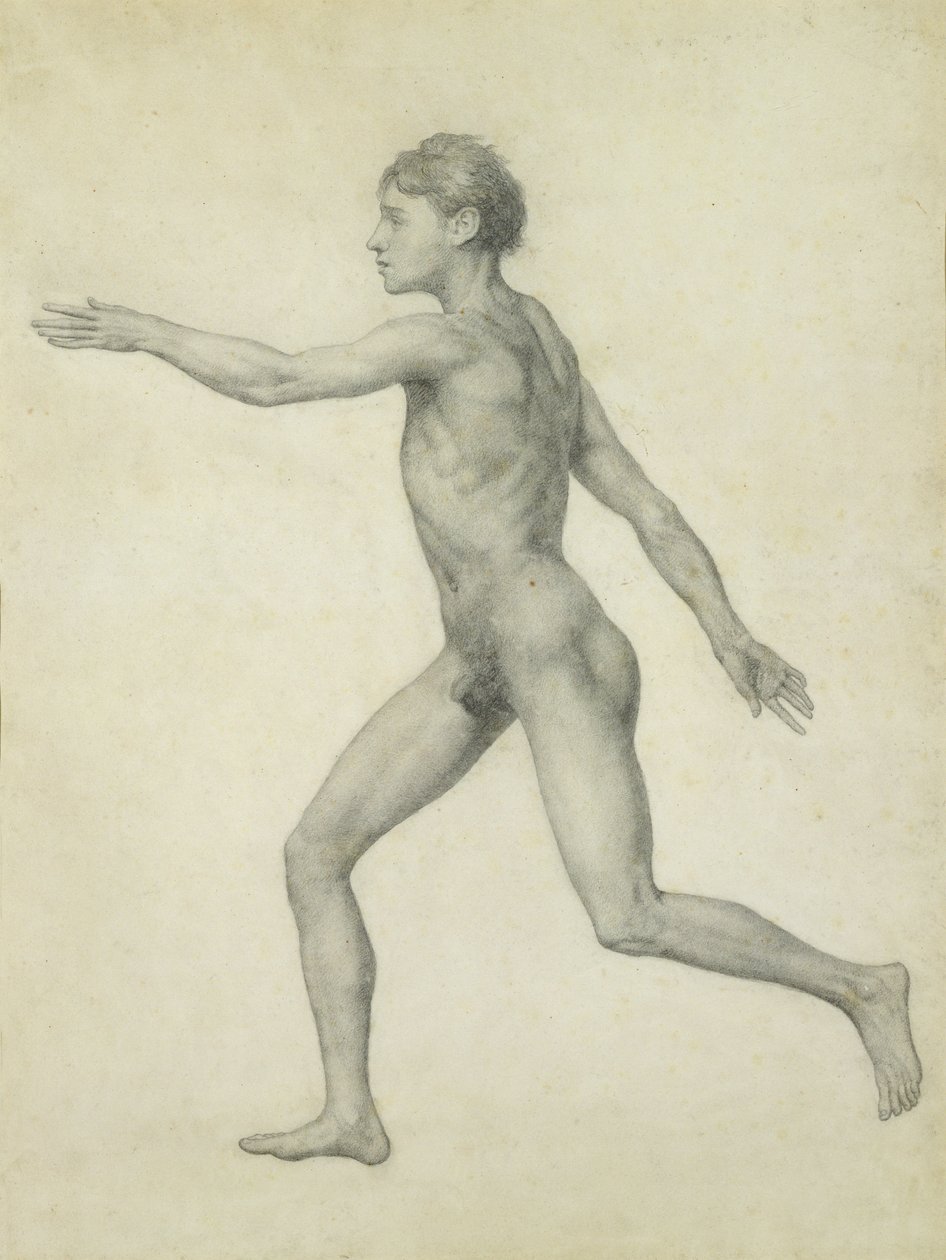 The Entire Human Figure from the Left, lateral view, from the series 