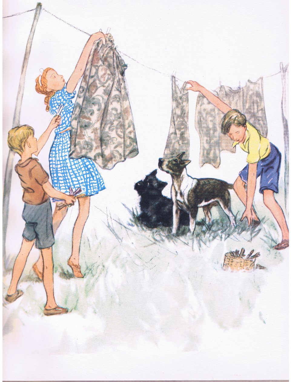 Hanging the washing on the line - Nobby the Bull terrier and Ferdinand the Aberdeen, from Pets Limited published by Collins by George Vernon Stokes