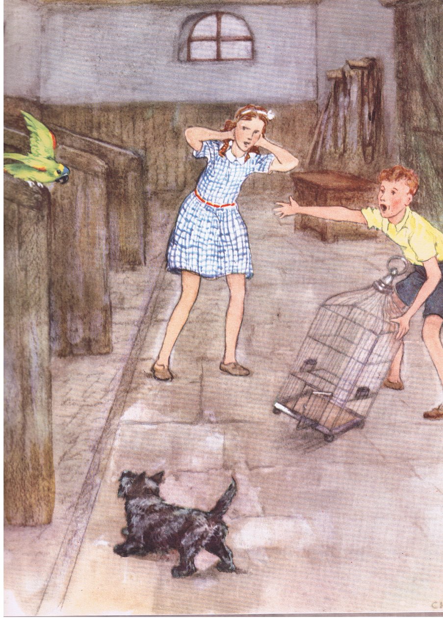 The parrot began to say rude things, from Pets Limited published by Collins by George Vernon Stokes